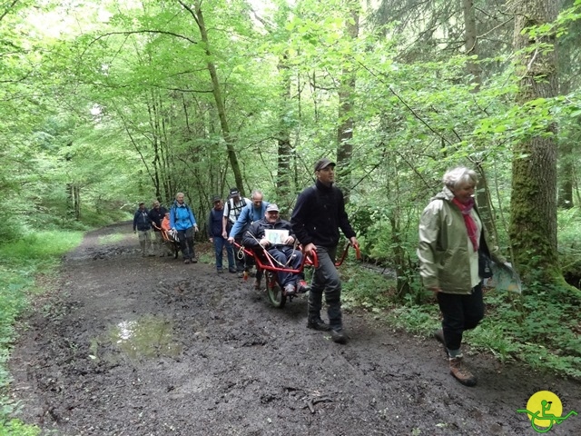 randonnée sportive avec joëlettes, Chevetogne, 2014