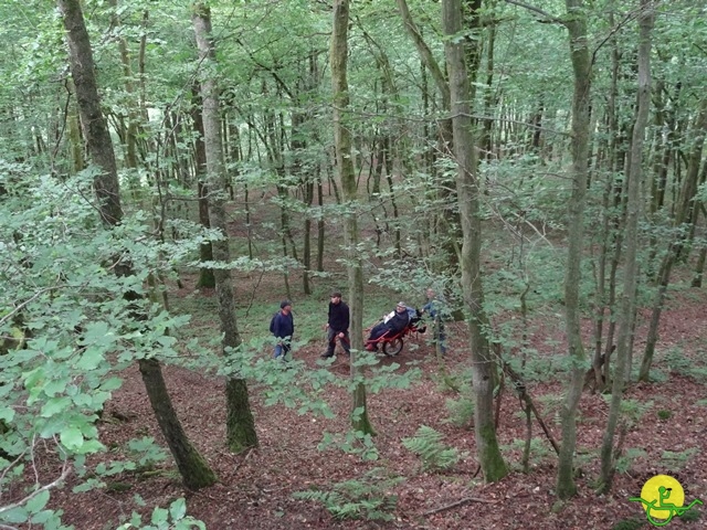 randonnée sportive avec joëlettes, Chevetogne, 2014