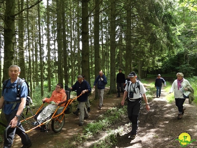 randonnée sportive avec joëlettes, Chevetogne, 2014