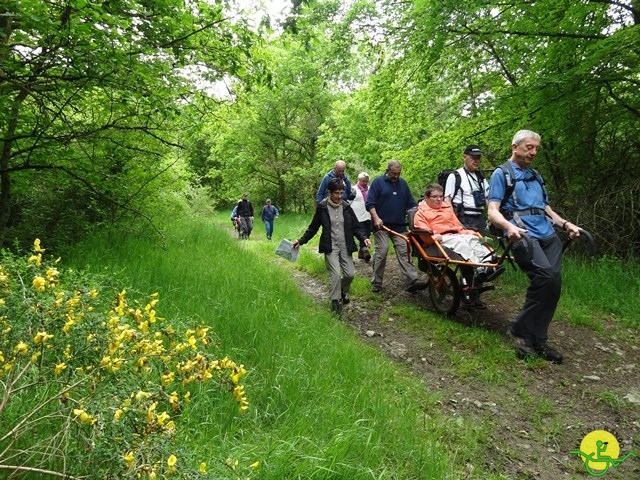 randonnée sportive avec joëlettes, Chevetogne, 2014