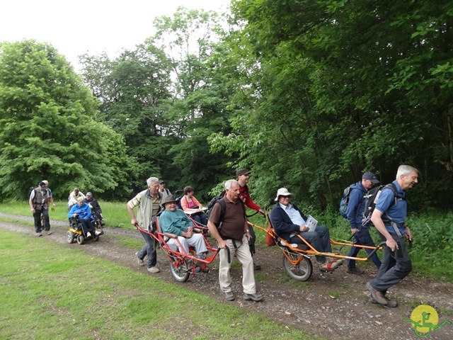 randonnée sportive avec joëlettes, Chevetogne, 2014