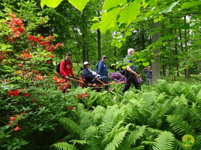 randonnée sportive avec joëlettes, Chevetogne, 2014