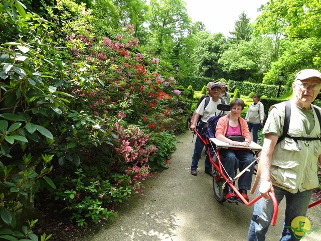 randonnée sportive avec joëlettes, Chevetogne, 2014