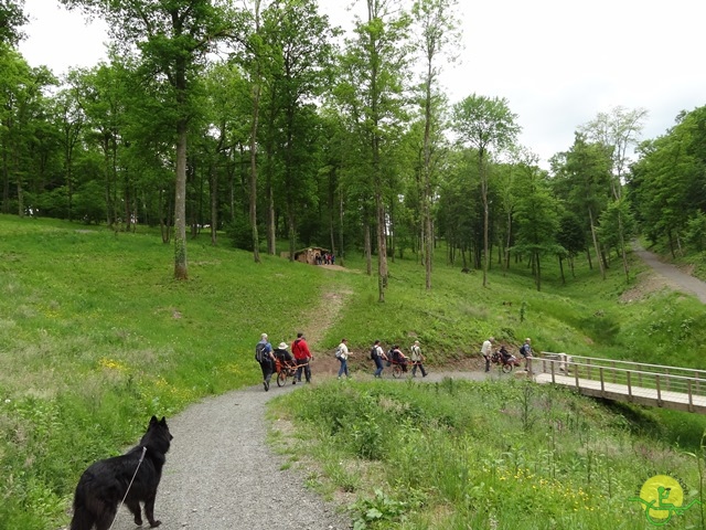 randonnée sportive avec joëlettes, Chevetogne, 2014