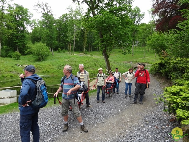 randonnée sportive avec joëlettes, Chevetogne, 2014