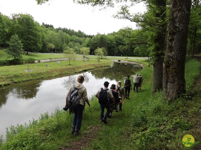 randonnée sportive avec joëlettes, Chevetogne, 2014