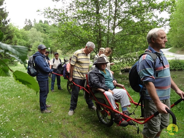 randonnée sportive avec joëlettes, Chevetogne, 2014