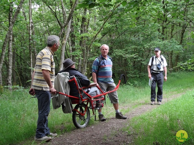 randonnée sportive avec joëlettes, Chevetogne, 2014