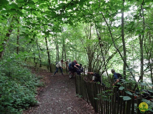 randonnée sportive avec joëlettes, Chevetogne, 2014