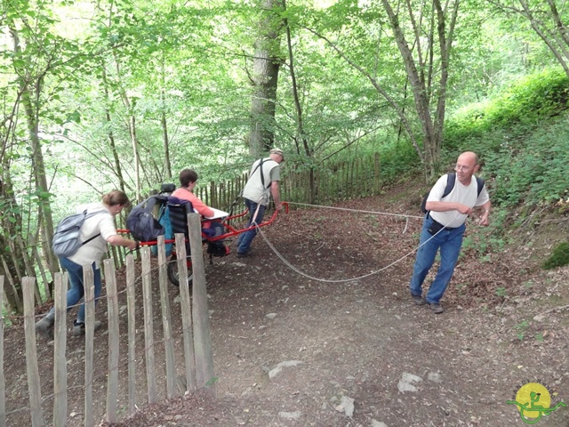 randonnée sportive avec joëlettes, Chevetogne, 2014