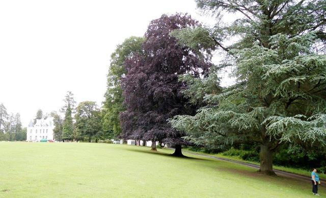 randonnée avec joëlettes, Chevetogne, 2014