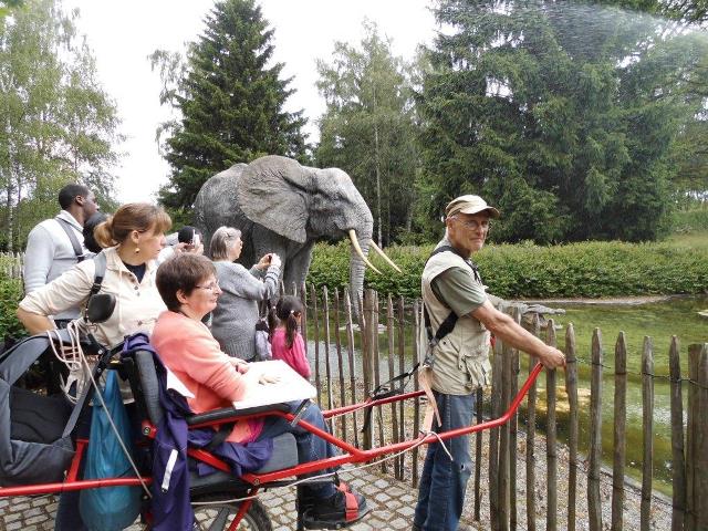 randonnée avec joëlettes, Chevetogne, 2014