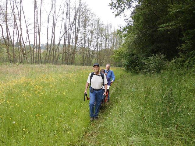 randonnée avec joëlettes, Chevetogne, 2014