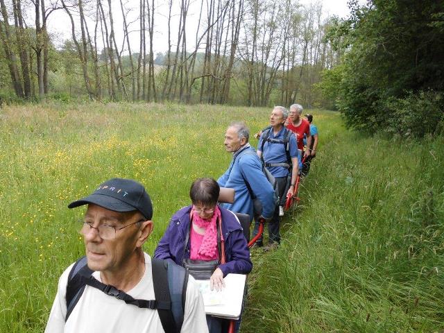 randonnée avec joëlettes, Chevetogne, 2014