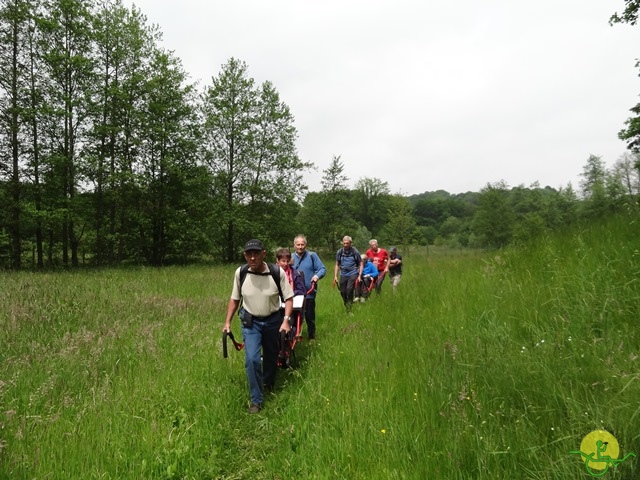 randonnée avec joëlettes, Chevetogne, 2014