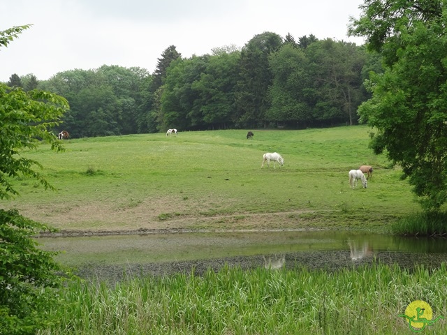 randonnée avec joëlettes, Chevetogne, 2014