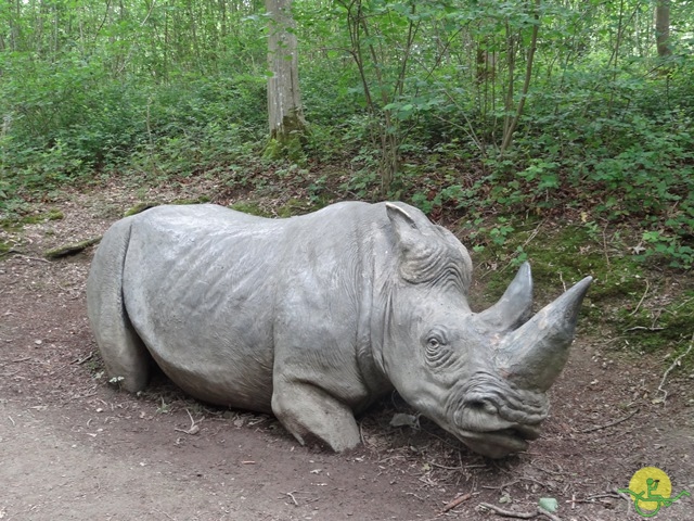 randonnée avec joëlettes, Chevetogne, 2014