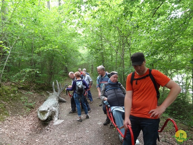 randonnée avec joëlettes, Chevetogne, 2014