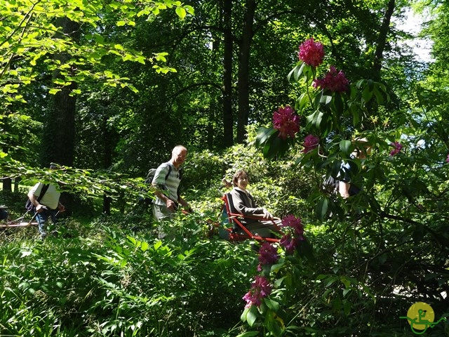 randonnée avec joëlettes, Chevetogne, 2014