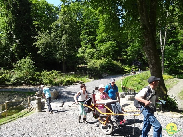 randonnée avec joëlettes, Chevetogne, 2014