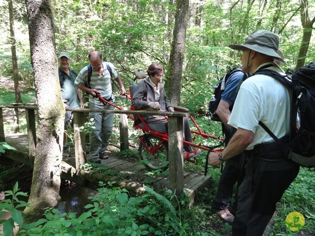 randonnée avec joëlettes, Chevetogne, 2014