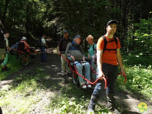 randonnée avec joëlettes, Chevetogne, 2014