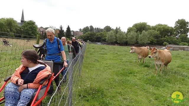 randonnée avec joëlettes,Gaasbeek, 2014