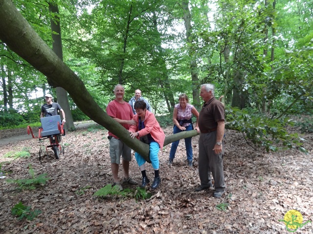 randonnée avec joëlettes,Gaasbeek, 2014