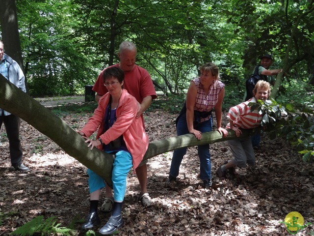 randonnée avec joëlettes,Gaasbeek, 2014