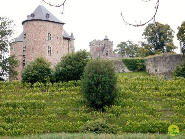 randonnée sportive avec joëlettes, Gaasbeek, 2014