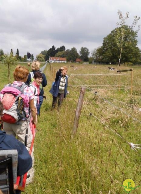 randonnée sportive avec joëlettes, Gaasbeek, 2014