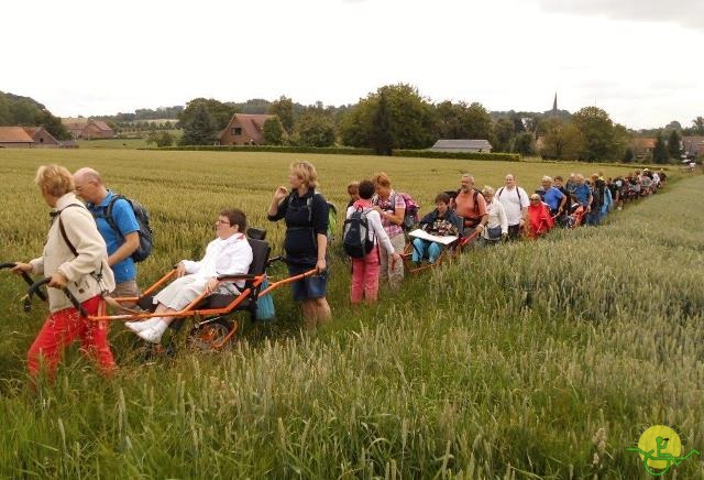 randonnée sportive avec joëlettes, Gaasbeek, 2014