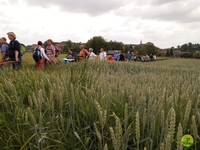 randonnée sportive avec joëlettes, Gaasbeek, 2014