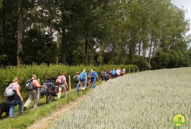 randonnée sportive avec joëlettes, Gaasbeek, 2014