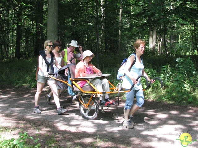 randonnée sportive avec joëlettes, Havré, 2014