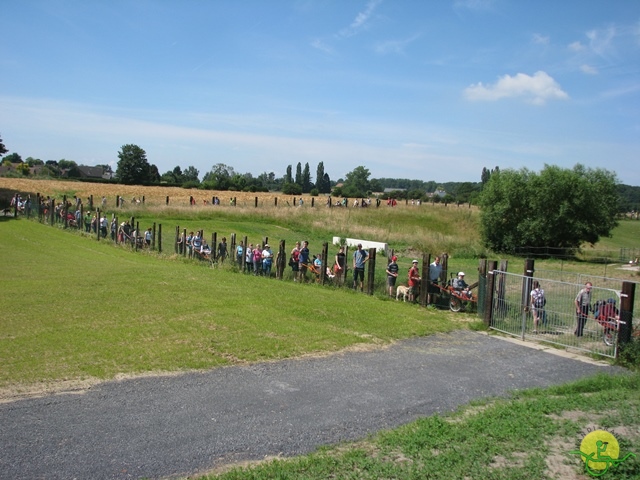 randonnée sportive avec joëlettes, Havré, 2014