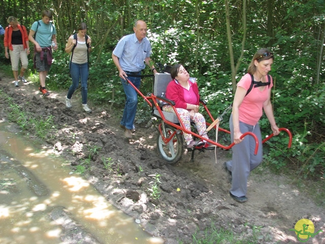 randonnée sportive avec joëlettes, Havré, 2014