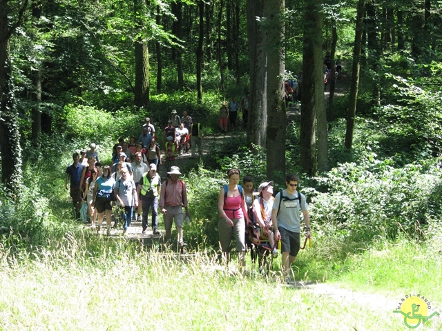 randonnée sportive avec joëlettes, Havré, 2014