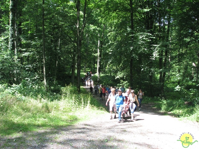 randonnée sportive avec joëlettes, Havré, 2014