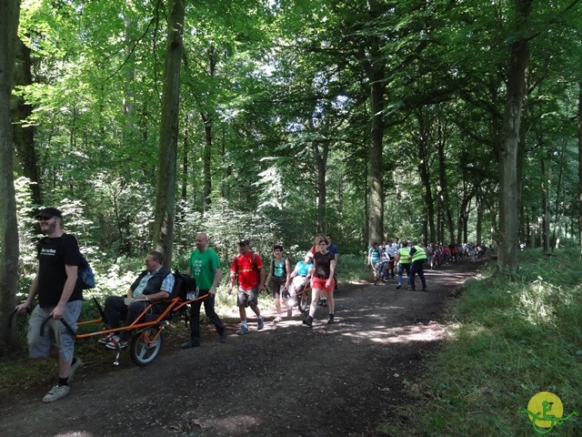 randonnée sportive avec joëlettes, Havré, 2014