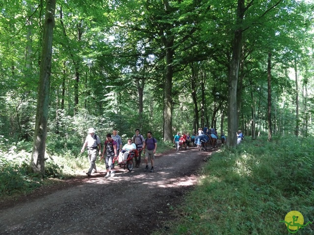 randonnée sportive avec joëlettes, Havré, 2014