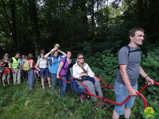 randonnée sportive avec joëlettes, Havré, 2014