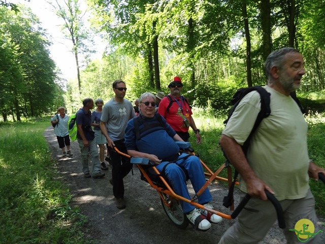 randonnée sportive avec joëlettes, Havré, 2014