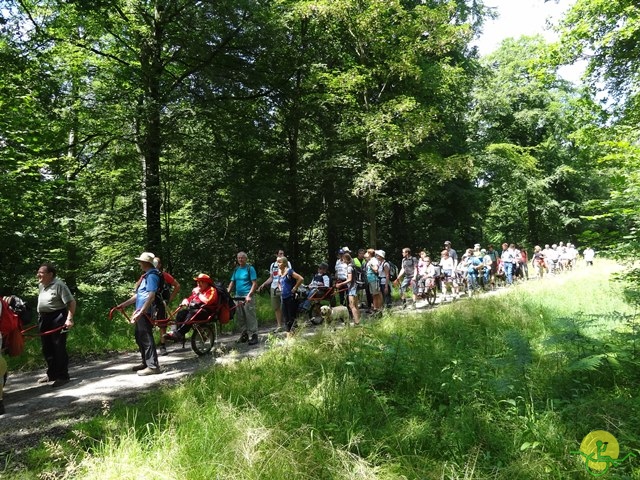 randonnée sportive avec joëlettes, Havré, 2014