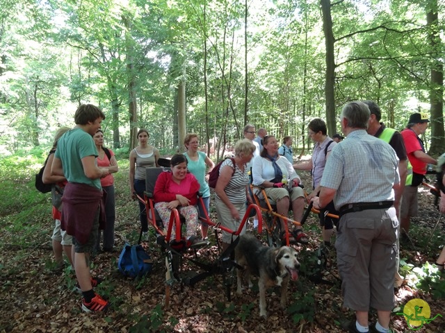 randonnée sportive avec joëlettes, Havré, 2014