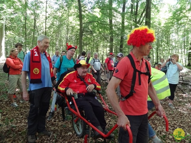 randonnée sportive avec joëlettes, Havré, 2014