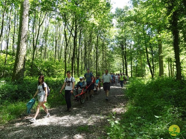 randonnée sportive avec joëlettes, Havré, 2014