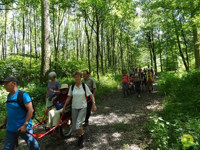 randonnée sportive avec joëlettes, Havré, 2014