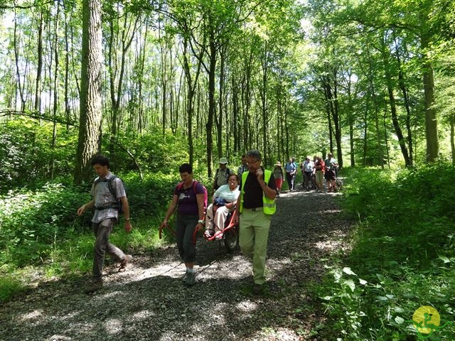 randonnée sportive avec joëlettes, Havré, 2014