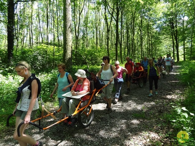 randonnée sportive avec joëlettes, Havré, 2014